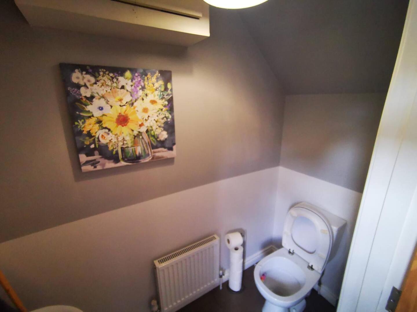 3Br Cosy Modern Stay Belfast Exteriér fotografie